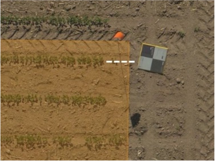 Figure 2: GCPs In-Line with First/Last Row of Trial